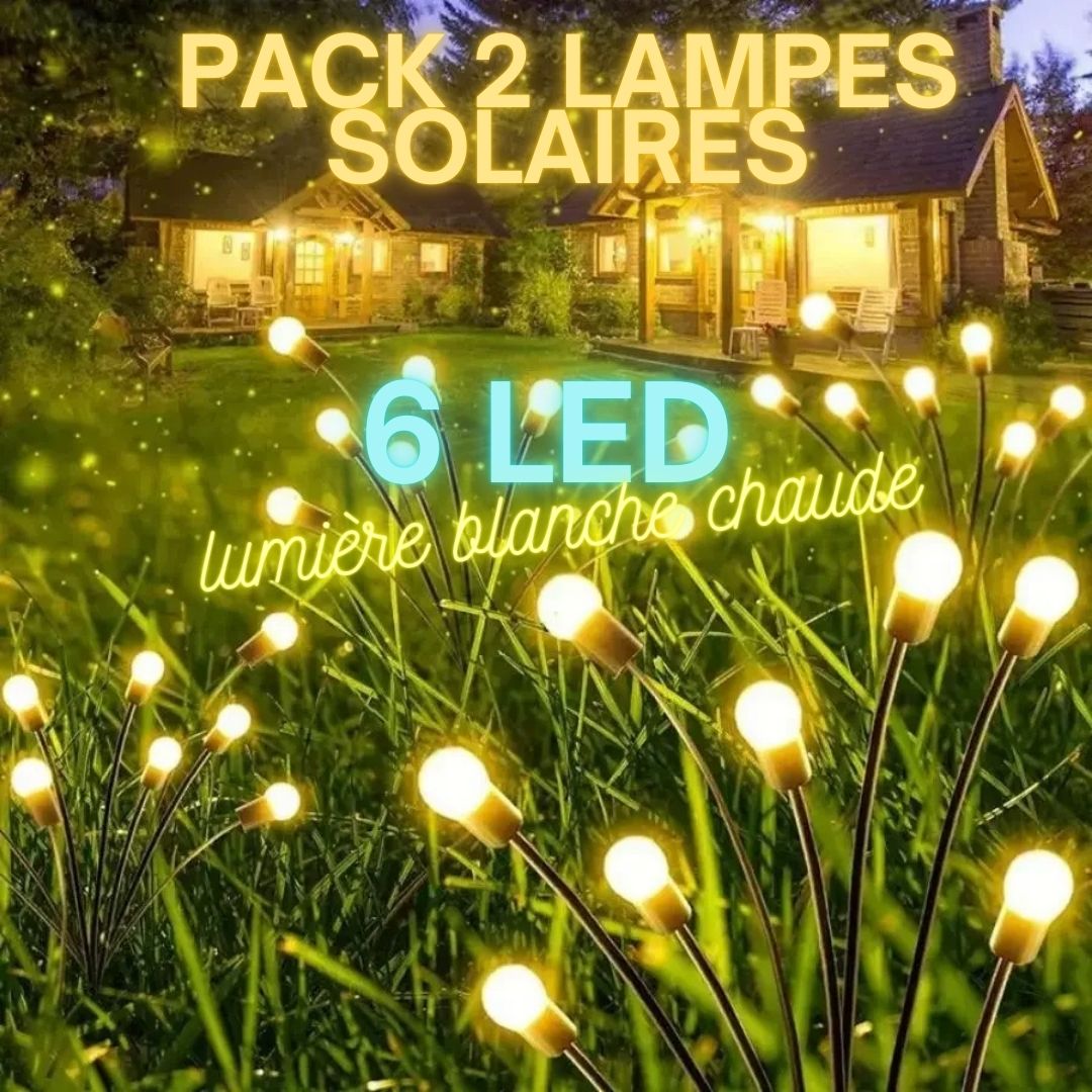 lampe-solaire-pour-jardin-6-led