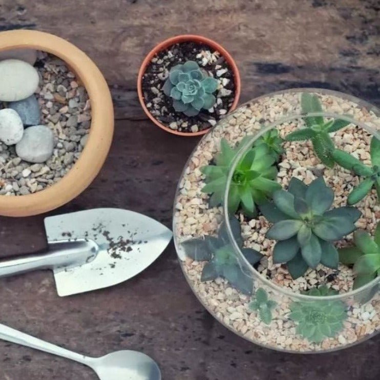 Kit Jardinage | LittleGarden âą - Esprit Jardins