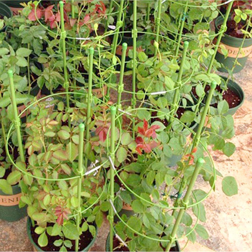 PlantSupport™ - Cadre de support pour plante | Jardinage - Esprit Jardins