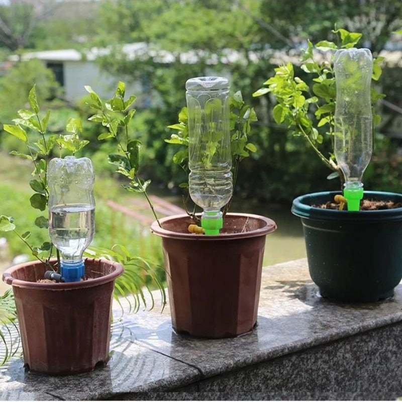 arrosage-goutte-à-goutte-bouteille