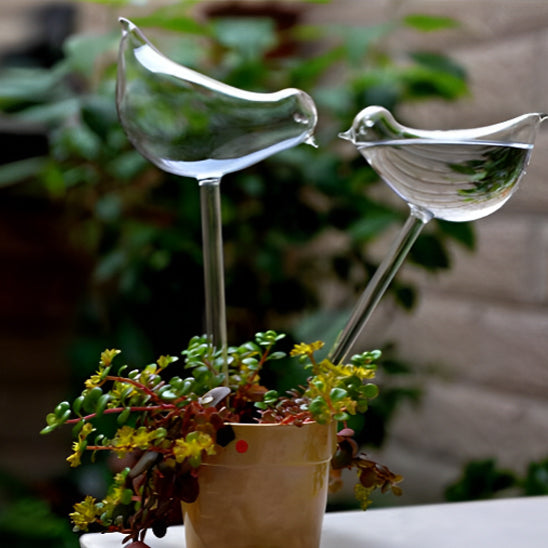 arroseur-automatique-oiseau