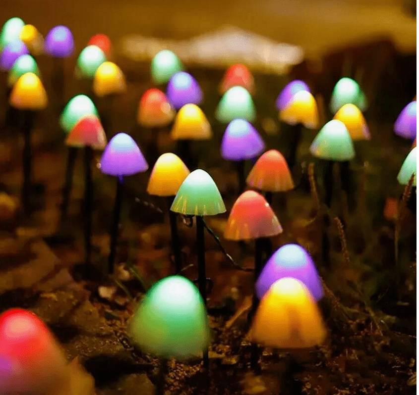 Guirlande lumineuse extérieur | LumiLink™ - Esprit Jardins