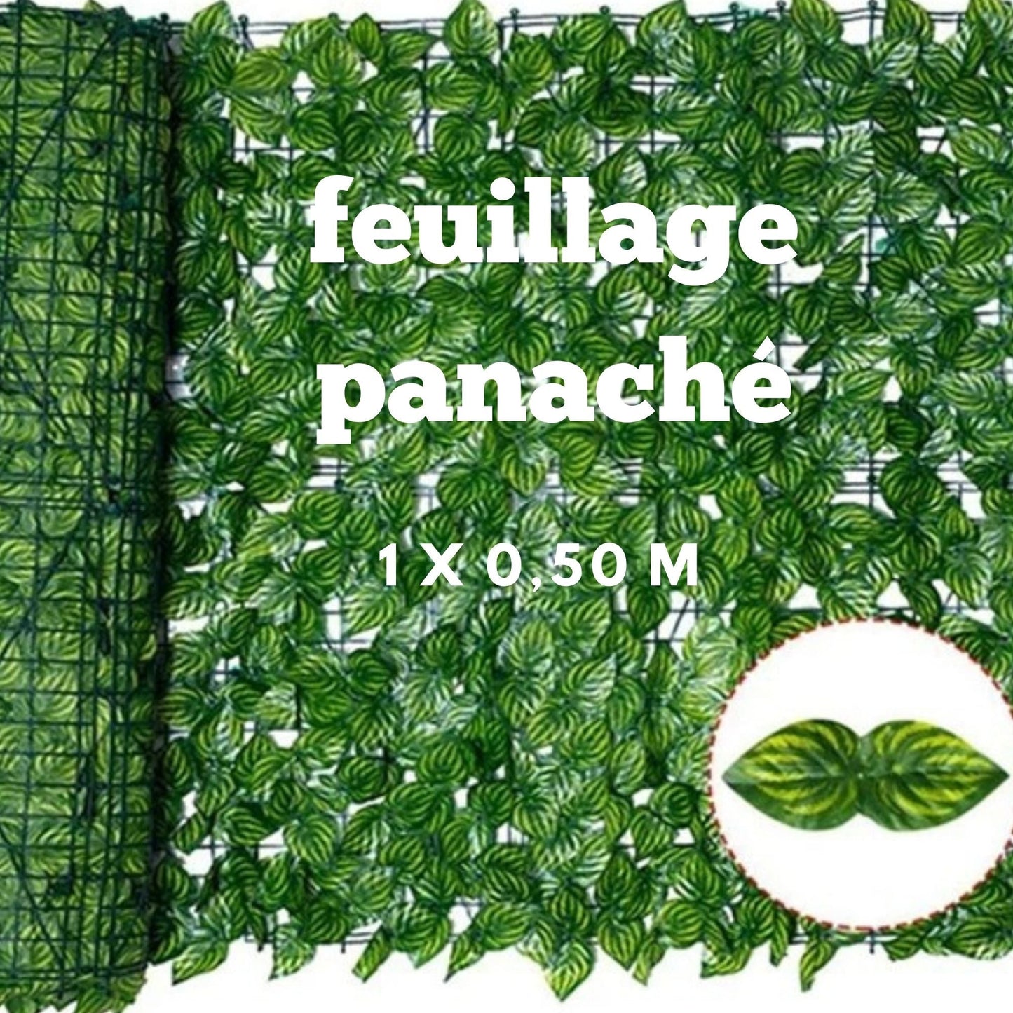 mur-végétal-feuillage-panaché-1m-0,50m